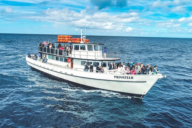 San Diego Whale Watching Tour - Additional Information