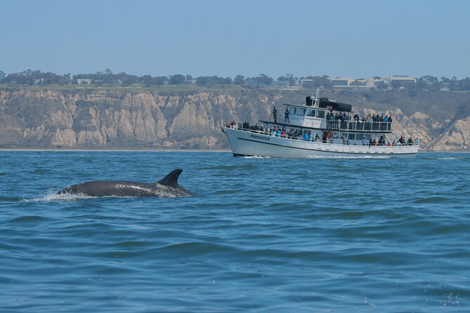 San Diego Whale Watching Tour - Boat and Crew