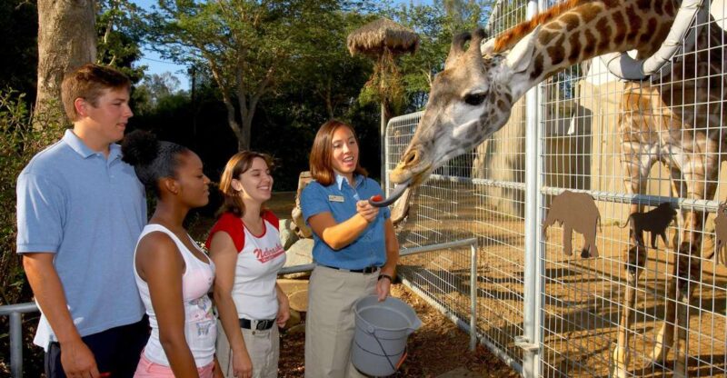 San Diego Zoo: 1-Day Admission Ticket - Zoo Highlights