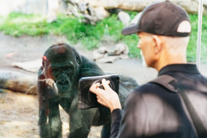 San Diego Zoo: 1-Day Admission Ticket - Frequently Asked Questions