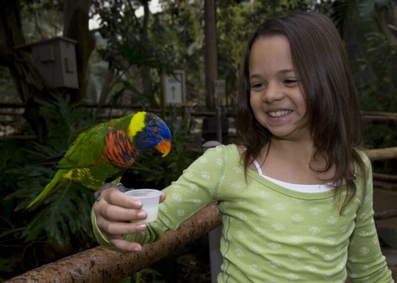 San Diego Zoo and Safari Park: 2-Day Entry Ticket - Included Experiences and Amenities