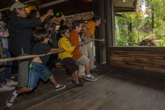 San Diego Zoo and Safari Park: 2-Day Entry Ticket - Visiting the San Diego Zoo and Safari Park