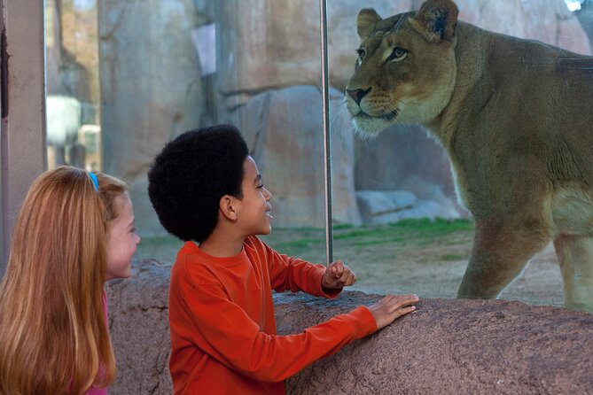 San Diego Zoo Safari Park 1-Day Pass: Any Day Ticket - Ticket Details and Purchase Information