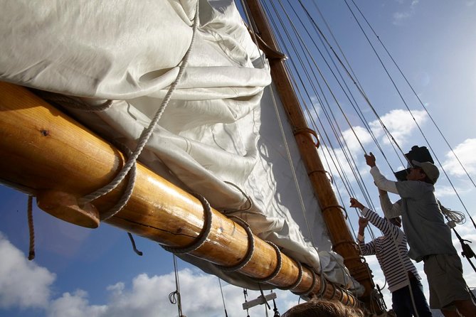 San Diegos Best Sunset Sail - Additional Details and Policies