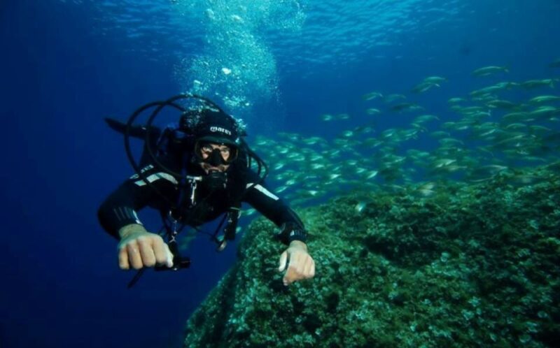 San Domino, Tremiti: Guided Dives Around Tremiti Islands - Safety Considerations
