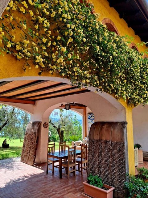 San Felice: Olive Oil Tasting With Local Food on Garda Hills - The Charm of Lake Gardas Olive Estate