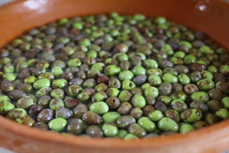 San Felice: Olive Oil Tasting With Local Food on Garda Hills - Exploring the Olive Grove: A Guided Tour