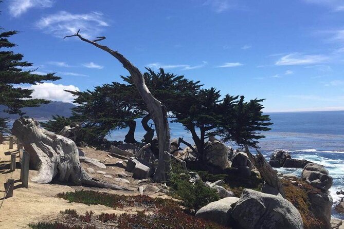San Francisco+ 17 Miles+ Yosemite National Park 3-day Tour - Itinerary and Highlights