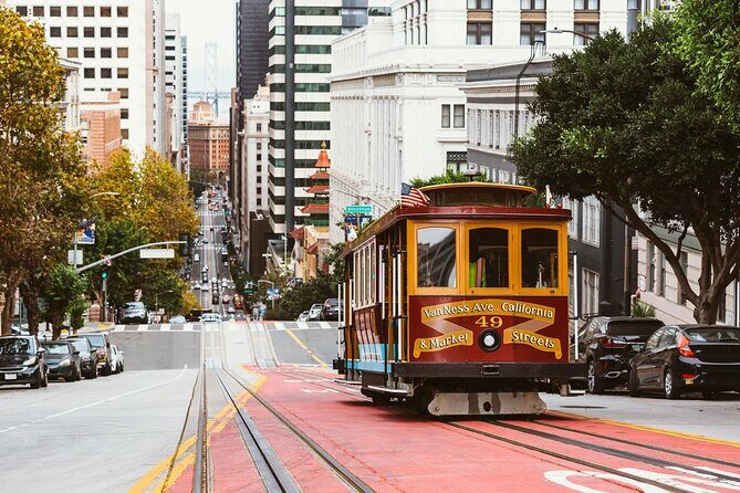 San Francisco Airport Transfer to SFO City (Special Offer) - Authentic Experiences and Feedback