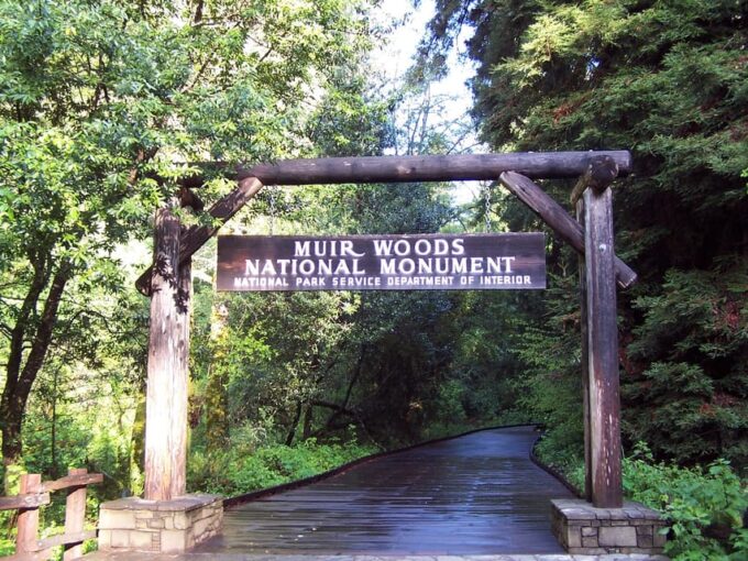San Francisco: Alcatraz Island & Guided Muir Woods Tour - Getting to Alcatraz and Muir Woods