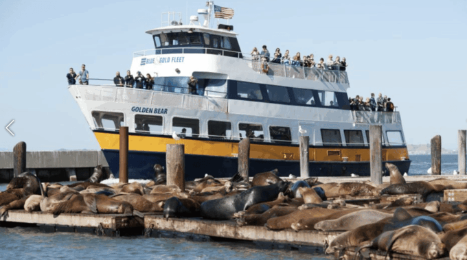 San Francisco: Alcatraz Island Prison Tour With Bay Cruise - Tour Flexibility and Convenience