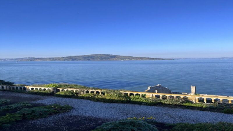 San Francisco: Alcatraz, Muir Woods, and Sausalito Day Tour - Customer Feedback