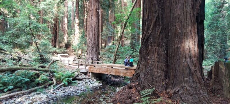 San Francisco: Alcatraz Tour With Muir Woods and Sausalito - Transportation and Inclusions