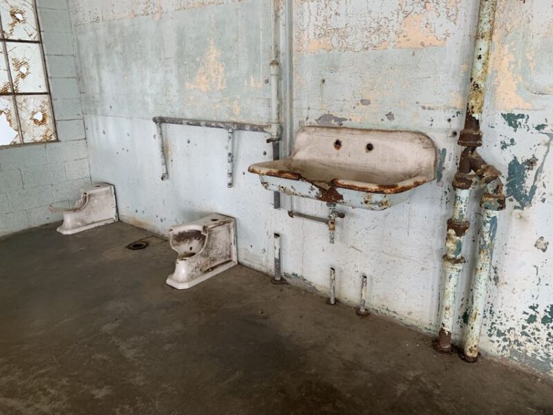 San Francisco: Alcatraz Tour With Muir Woods and Sausalito - Customer Feedback and Ratings