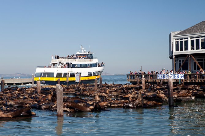 San Francisco Bay Cruise - Meeting Point and Accessibility