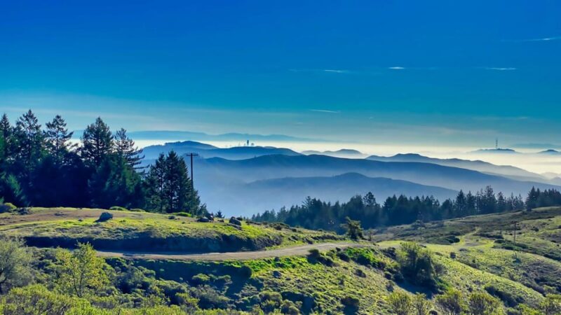 San Francisco: Bike Tour With Muir Woods and Sausalito Visit - Important Information