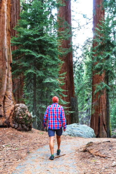 San Francisco: Bike Tour With Muir Woods and Sausalito Visit - Exploring Muir Woods