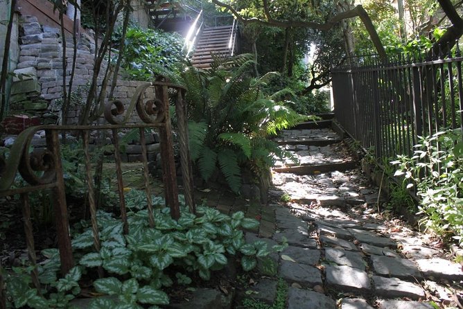 San Francisco Chinatown, Russian Hill, And North Beach Tour - Reviews and Ratings