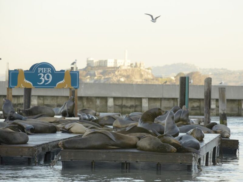 San Francisco CityPASS®: Save 46% at 4 Top Attractions - Included Attractions and Savings