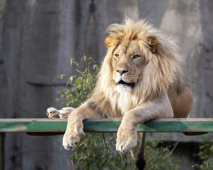 San Francisco CityPASS®: Save 46% at 4 Top Attractions - Additional Tips for CityPASS Users