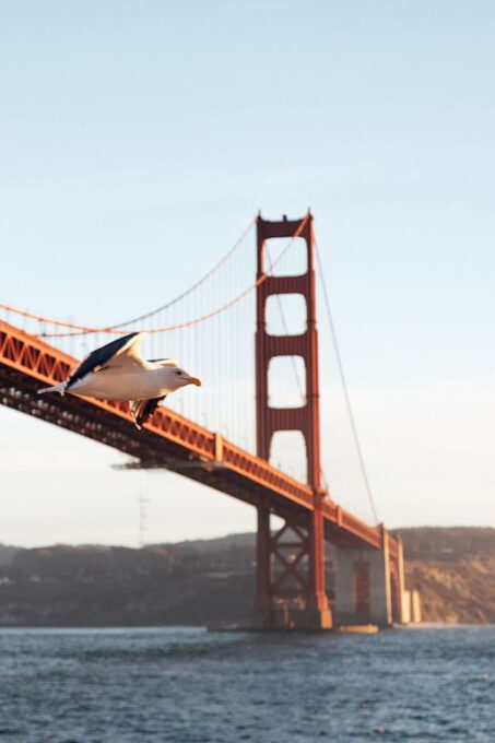 San Francisco: Easter Buffet Brunch or Dinner Bay Cruise - Accessibility and Policies
