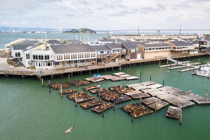 San Francisco Fishermans Wharf Private 1-Hour Walking Tour - Tour Overview