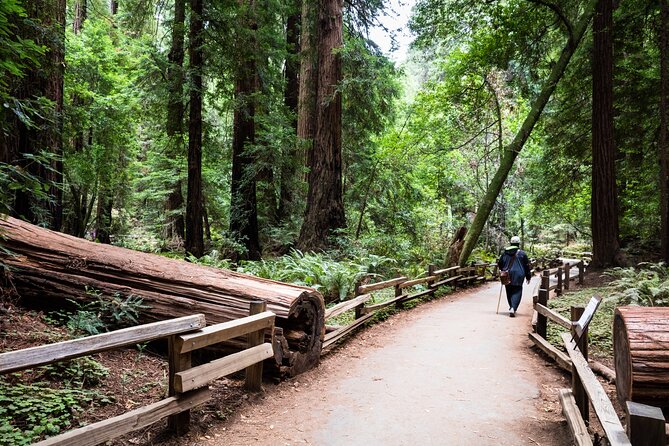 San Francisco, Golden Gate, Sausalito and Muir Woods Private Tour - Inclusions and Amenities
