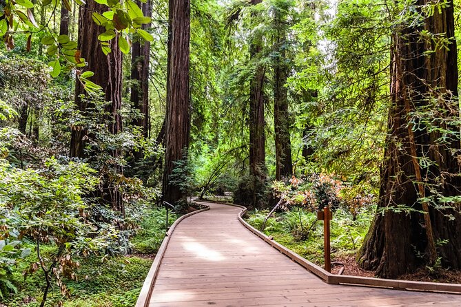 San Francisco, Golden Gate, Sausalito and Muir Woods Private Tour - Exploring San Franciscos Iconic Landmarks