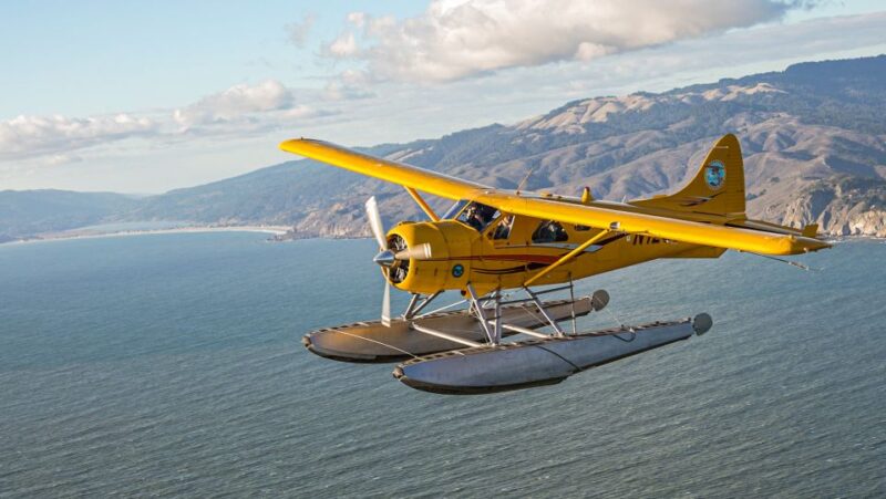 San Francisco: Greater Bay Area Seaplane Tour - Flight Experience
