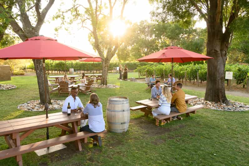 San Francisco: Half-Day Wine Aficionado Tour With Tastings - Return Drive and Skyline Views