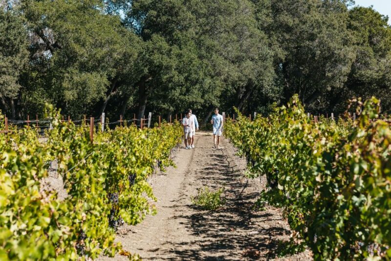 San Francisco: Half-Day Wine Country Excursion With Tastings - Age Requirement and Wine Tastings