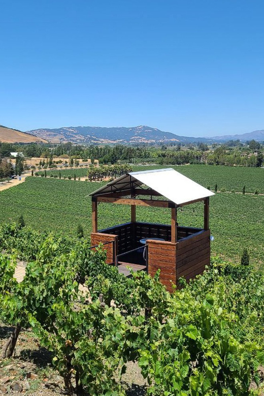 San Francisco: Half-Day Wine Tour With 2 Tastings Included - Exploring Sonoma Valley