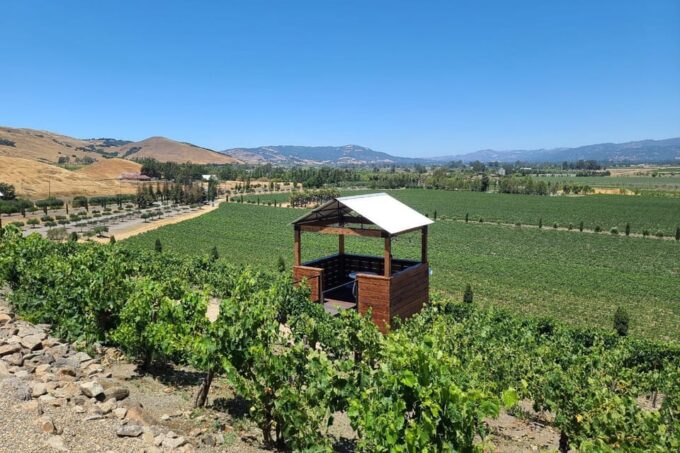 San Francisco: Half-Day Wine Tour With 2 Tastings Included - Customer Feedback and Ratings