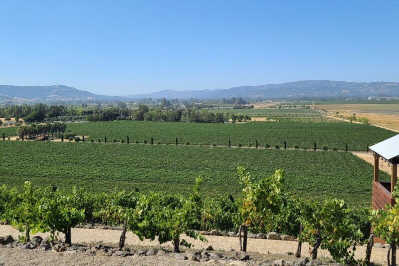 San Francisco: Half-Day Wine Tour With 2 Tastings Included - Itinerary Highlights