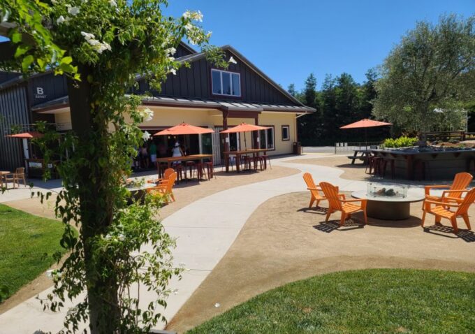 San Francisco: Half-Day Wine Tour With 2 Tastings Included - Cancellation and Refund Policy