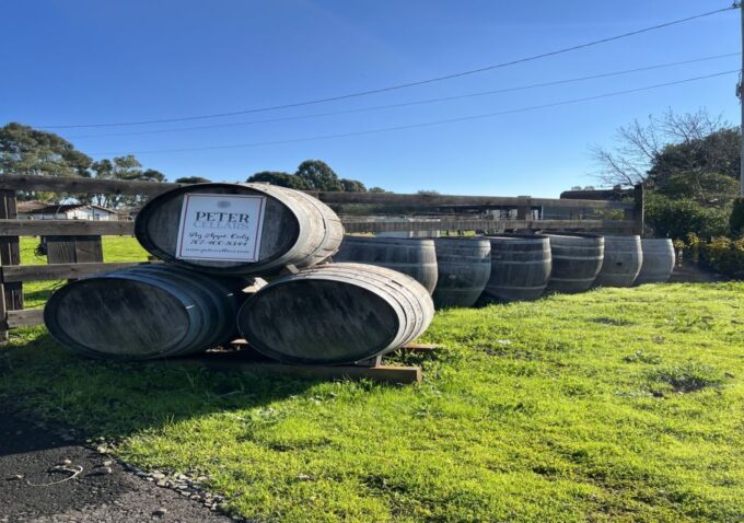 San Francisco: Half-Day Wine Tour With 2 Tastings Included - Frequently Asked Questions