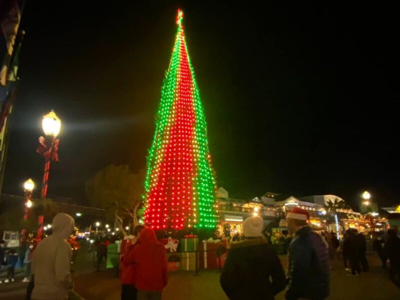 San Francisco: Holiday Lights Private Group Jeep Tour - Private Group Experience