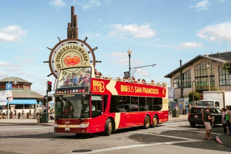 San Francisco: Hop-On Hop-Off Sightseeing Tour with 17 Stops - Authentic Experiences and Real Traveler Feedback