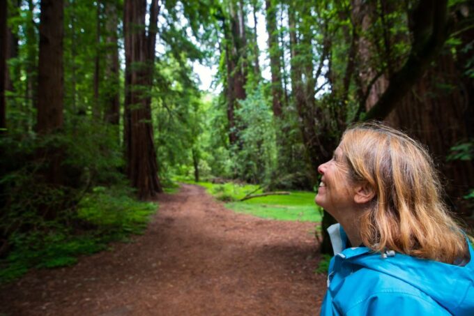 San Francisco: Morning Muir Woods & Sausalito Tour W/ Ferry - Liability and Reconfirmation