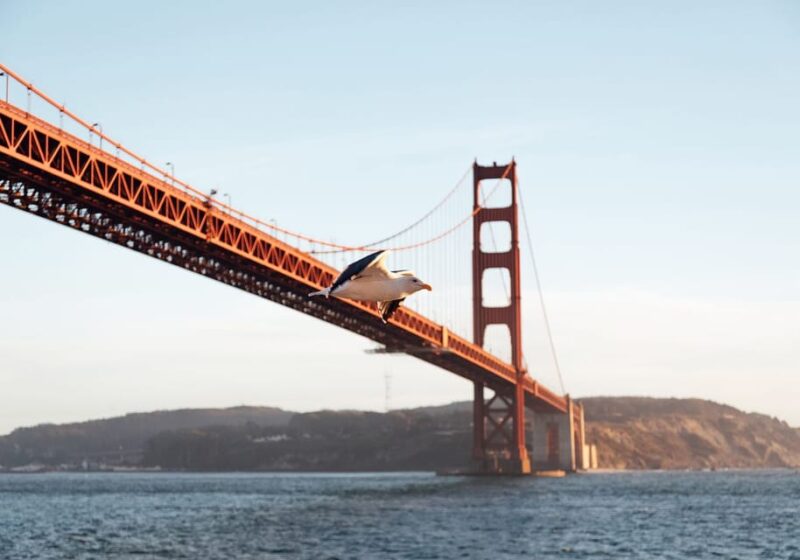 San Francisco: Mothers Day Brunch or Dinner Bay Cruise - Indulge in Brunch or Dinner