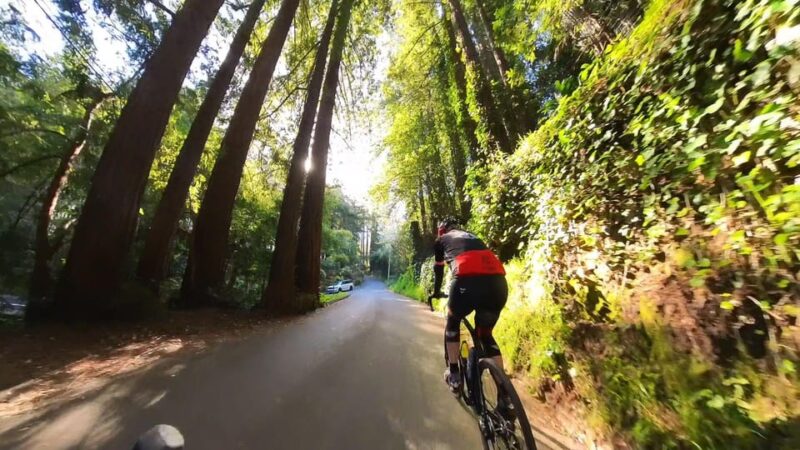 San Francisco: Muir Woods Cycling Tour (Road And/Or Gravel) - Itinerary and Highlights