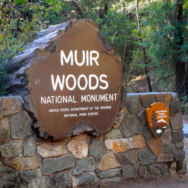 San Francisco: Muir Woods Cycling Tour (Road And/Or Gravel) - Getting There and Back