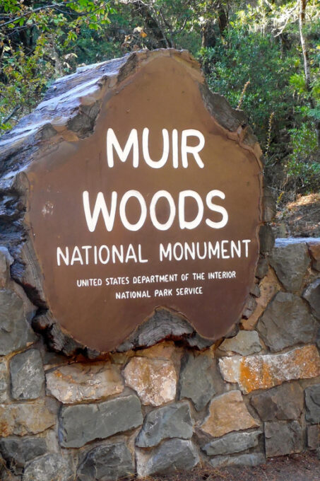 San Francisco: Muir Woods Cycling Tour (Road And/Or Gravel) - Preparation and Packing