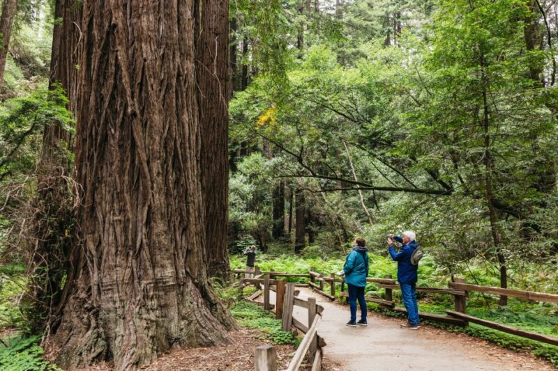 San Francisco: Muir Woods, Napa & Sonoma Valley Wine Tour - Inclusions and Exclusions