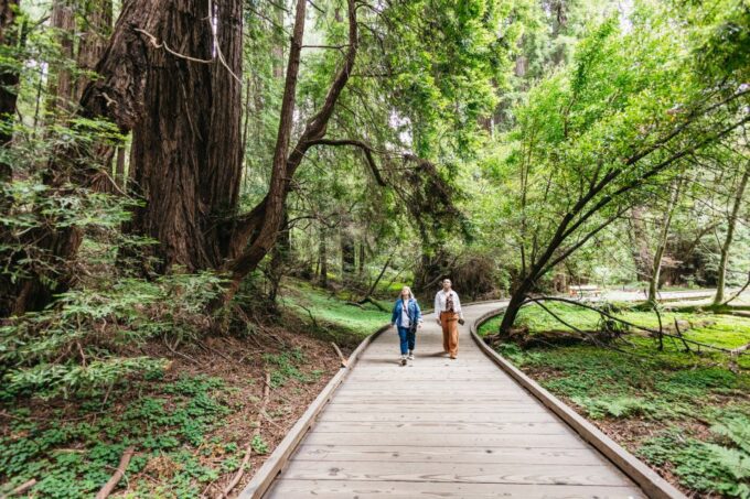 San Francisco: Muir Woods, Napa & Sonoma Valley Wine Tour - Scenic Views and Activities