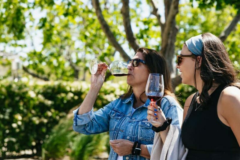 San Francisco: Napa and Sonoma Valley Wine Tour - Overview of the Napa and Sonoma Valley Wine Tour