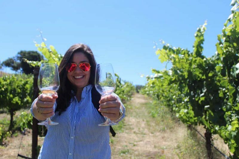 San Francisco: Napa and Sonoma Valley Wine Tour - Transportation and Group Dynamics