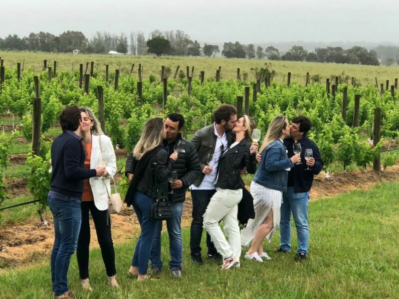 San Francisco: Napa Valley Half-Day Wine Tour with Tastings - Journey Through Napa Valley: What to Expect