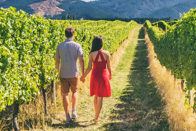 San Francisco: Napa Valley Wine Tour & 1-Day Hop-on Hop-off Tour - Schedule