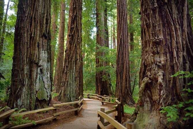 San Francisco: Napa Valley Wine Tour and Muir Woods Guided Tour - Booking and Confirmation